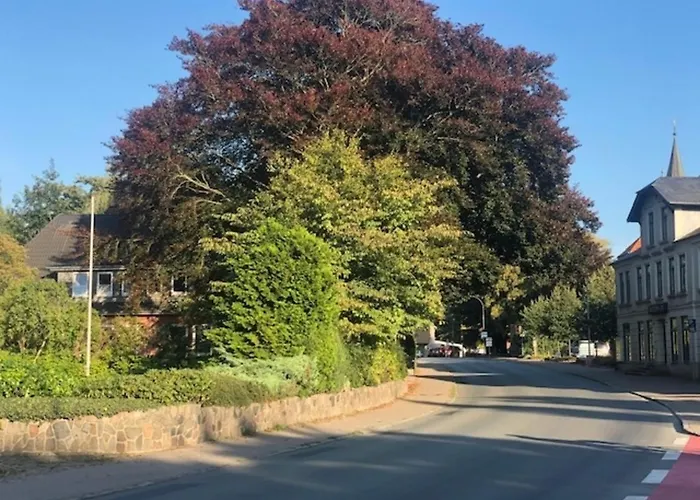 Daire Ferienapartment Alte Buecherei *